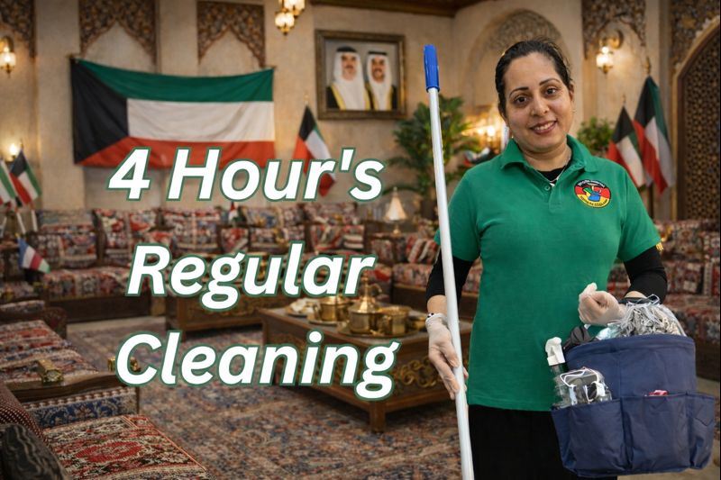 4 Hour's Regular Cleaning